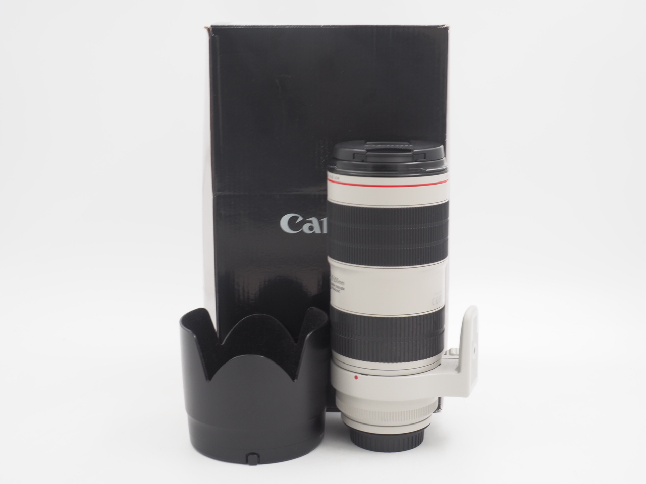 Canon EF 70-200mm f/2.8 L IS III USM