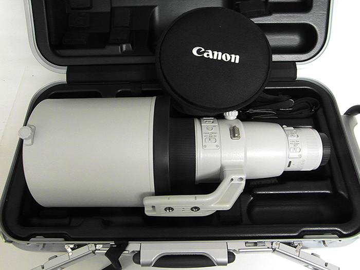 Canon EF 600mm f/4 L IS II USM