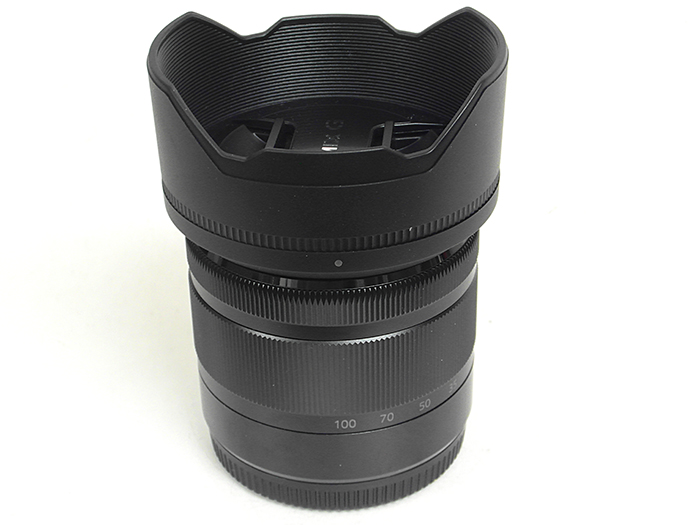 Panasonic Lumix G Vario 35-100mm f/4.0-5.6 ASPH OIS