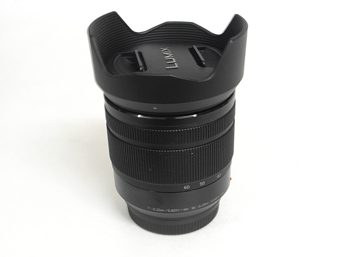 Panasonic Lumix G Vario 12-60mm f/3.5-5.6 OIS