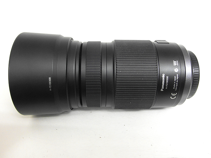 Panasonic Lumix G 100-300mm f/4.0-5.6 OIS