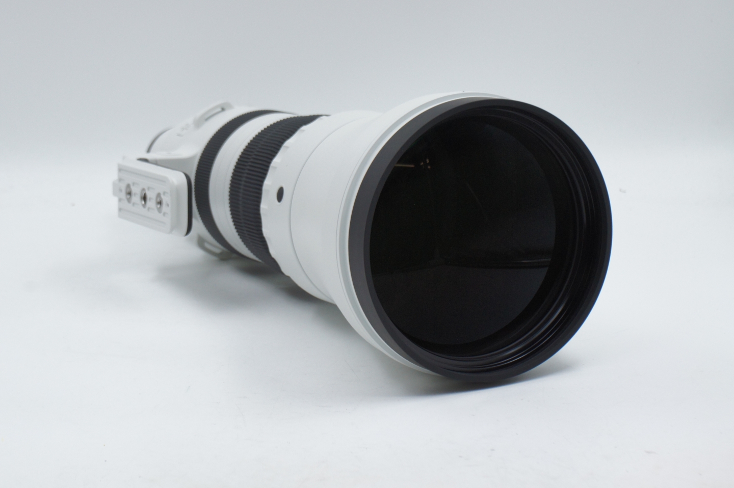 Sigma 300-600mm f/4 DG OS Sport