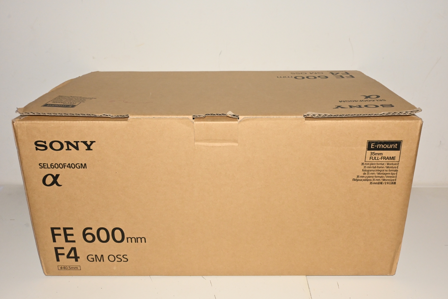Sony FE 600mm f/4 GM OSS
